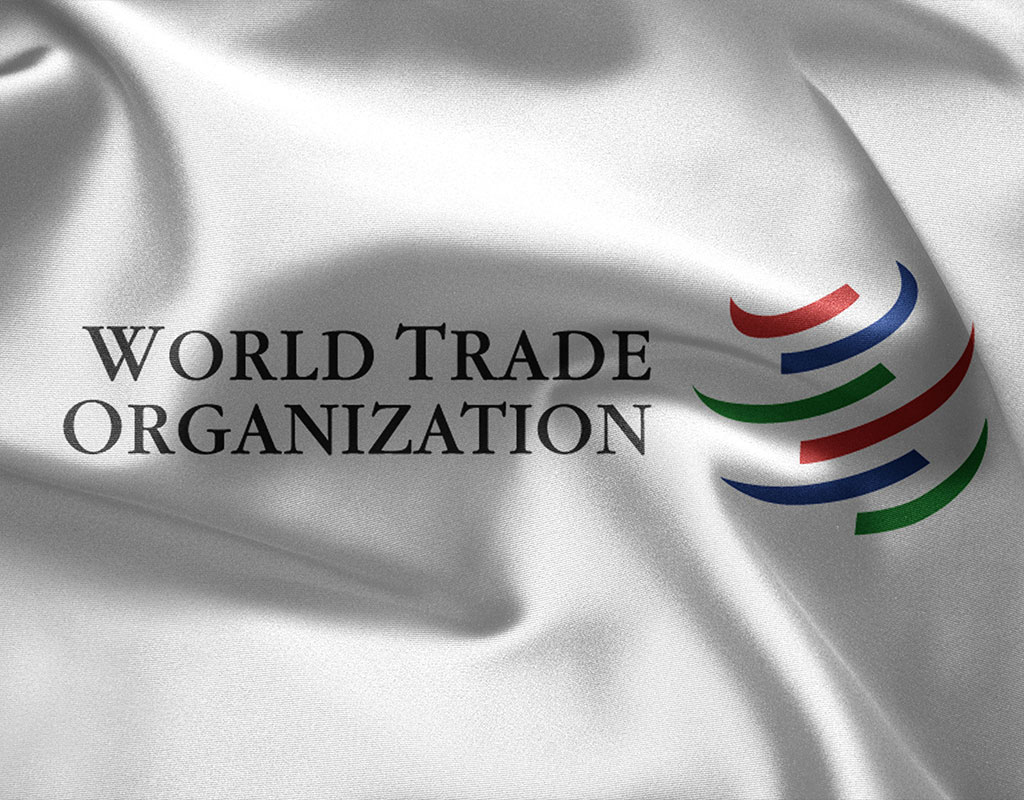 The Metaphors of Globalization and Trade: An Analysis of the Language used in the WTO.